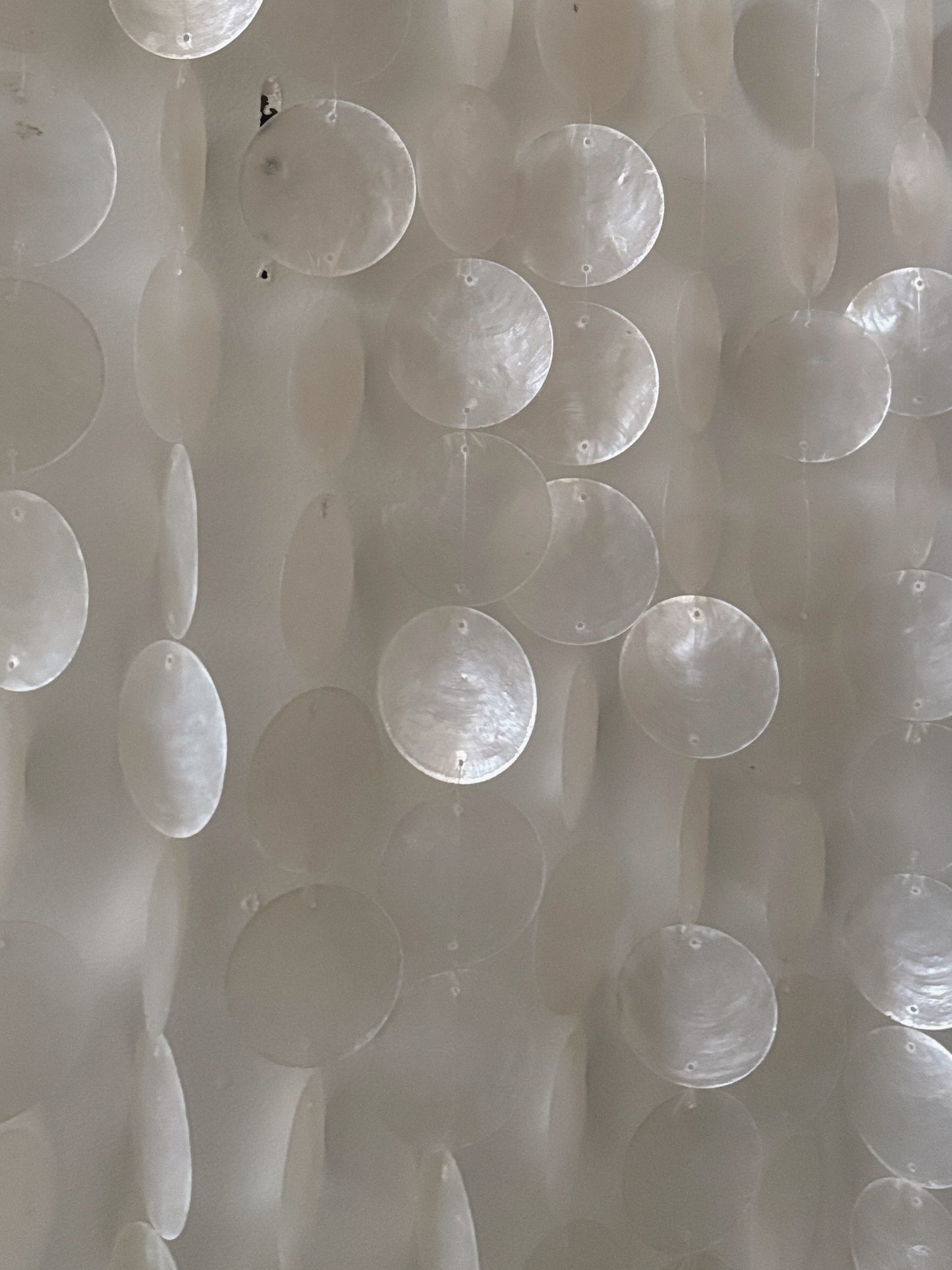 Shell Wall Hanging