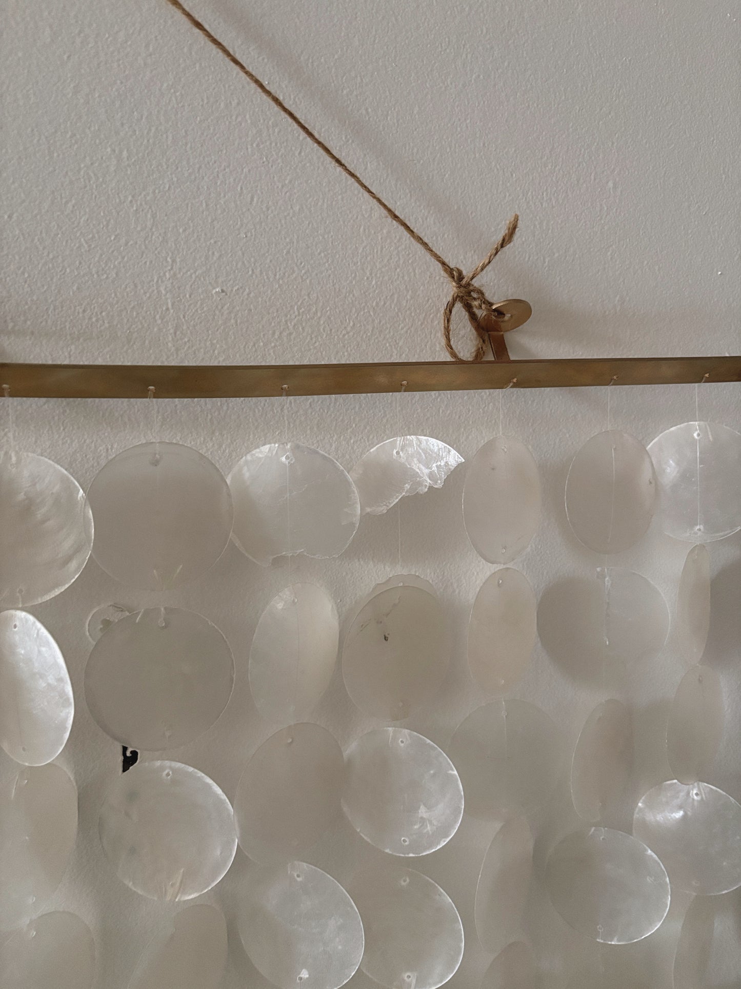 Shell Wall Hanging