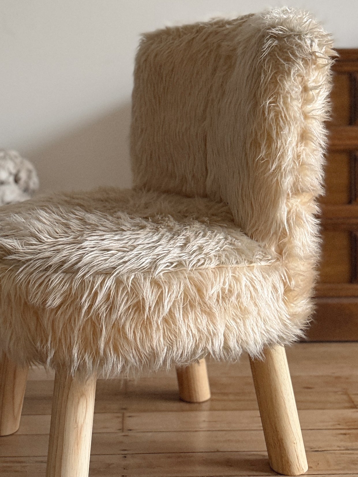 1960s Fluffy Chair