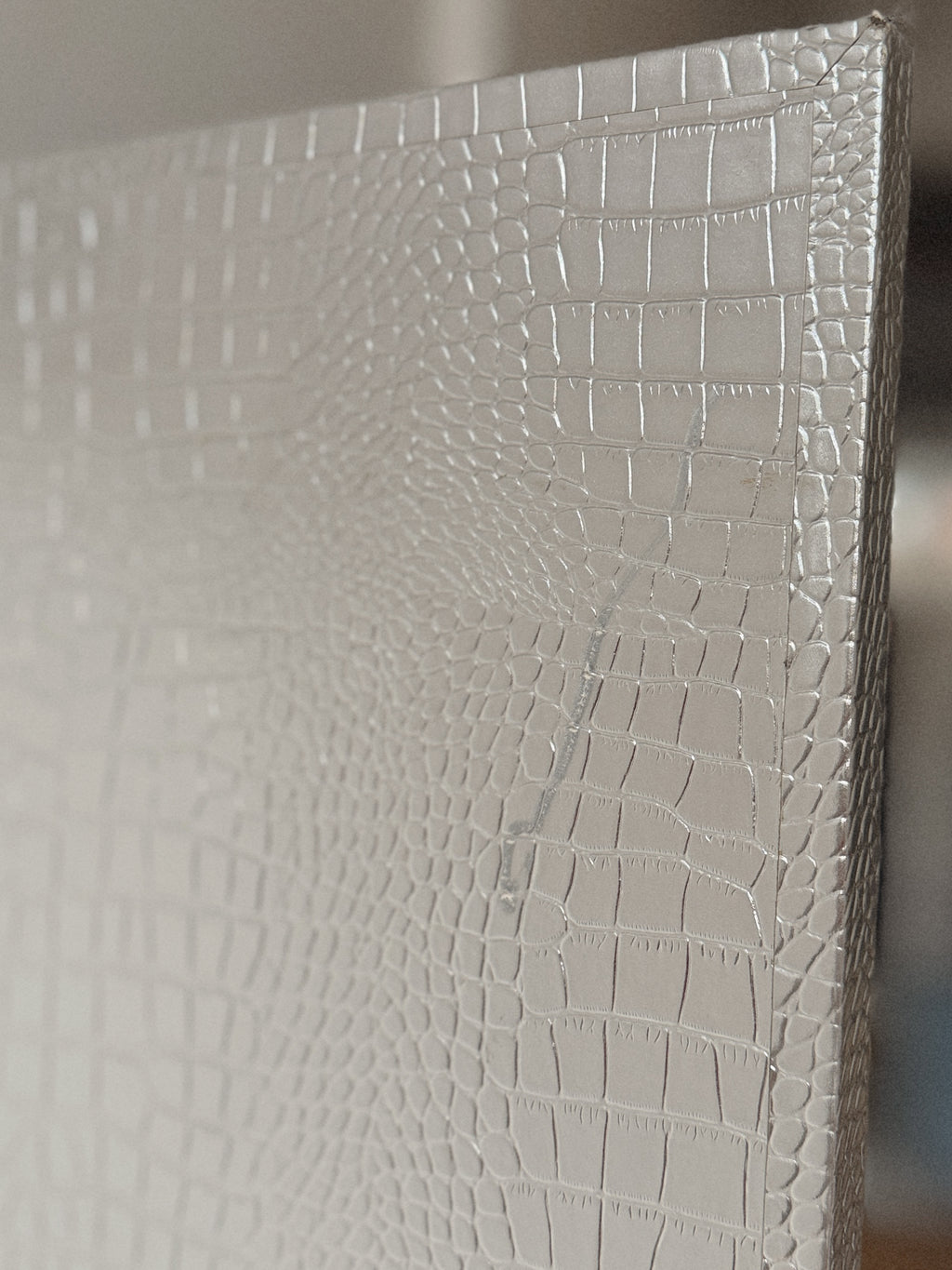 Metallic Room Divider