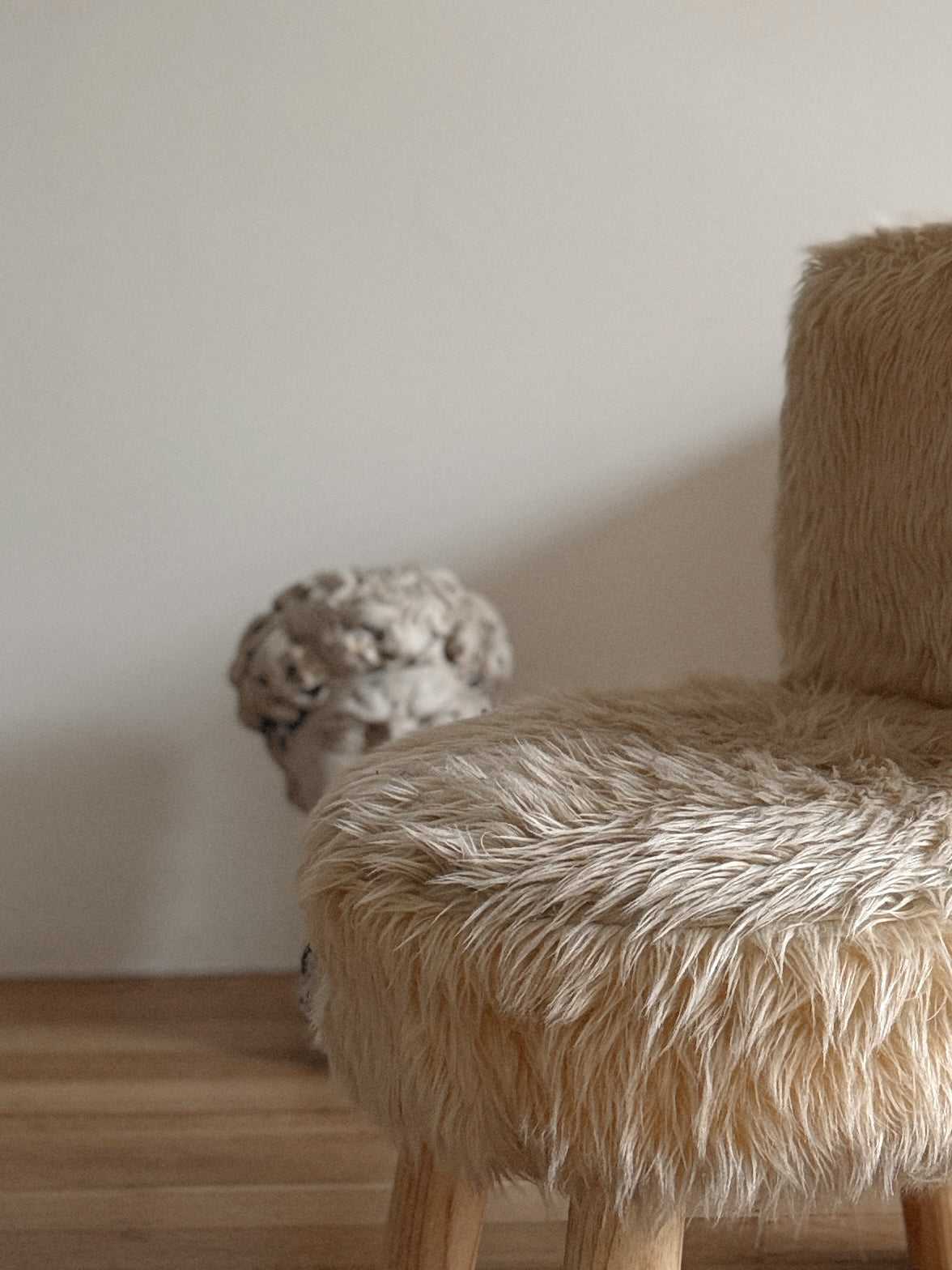 1960s Fluffy Chair