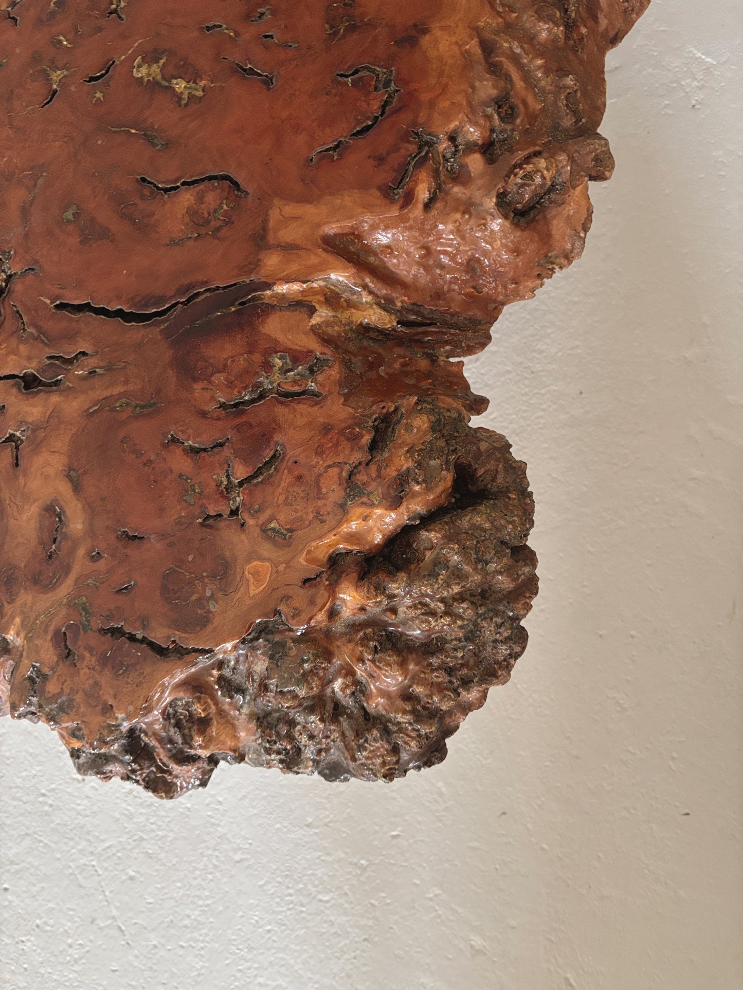 Organic Shaped Burl Coffee Table