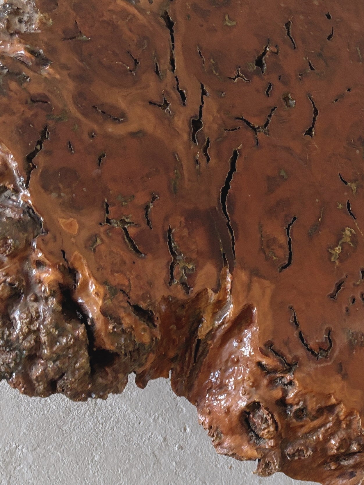 Organic Shaped Burl Coffee Table